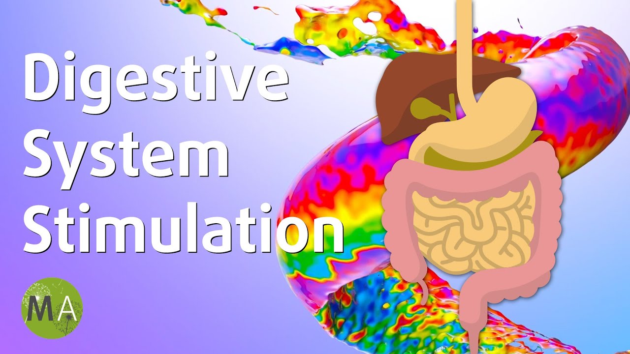 Digestive System Stimulation - Soft Ambience with Isochronic Tones