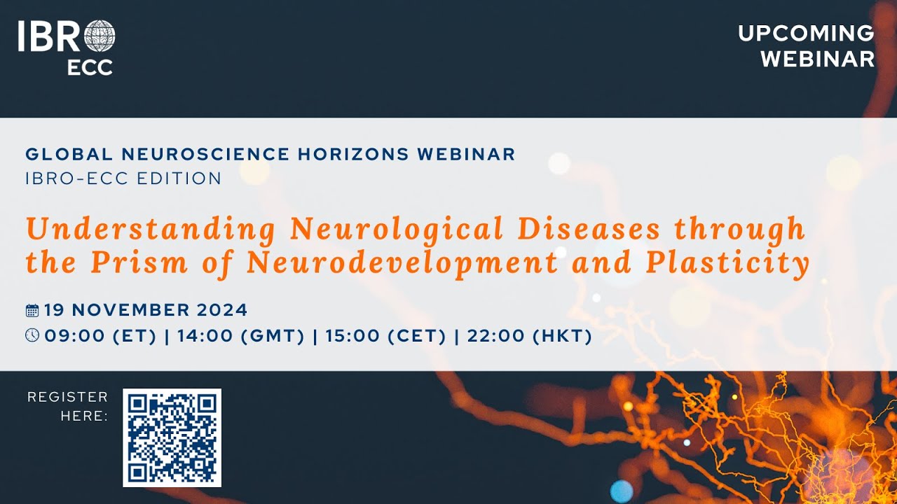 Understanding Neurological Diseases through the Prism of Neurodevelopment and Plasticity