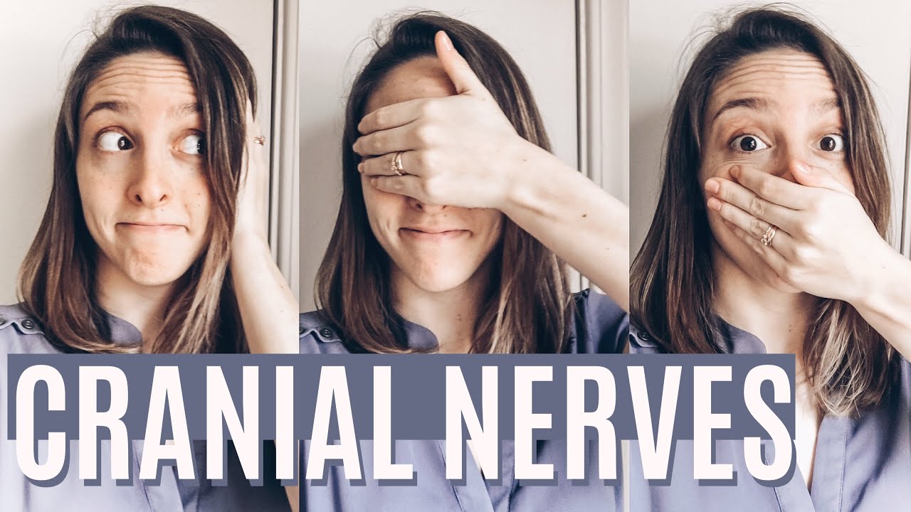 How To Remember The Cranial Nerves for NCLEX | My Technique To Remember The Cranial Nerves