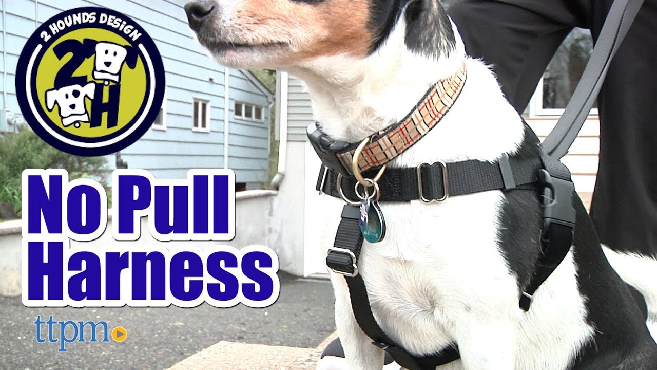 Шлейка Freedom No Pull от 2 Hounds Design