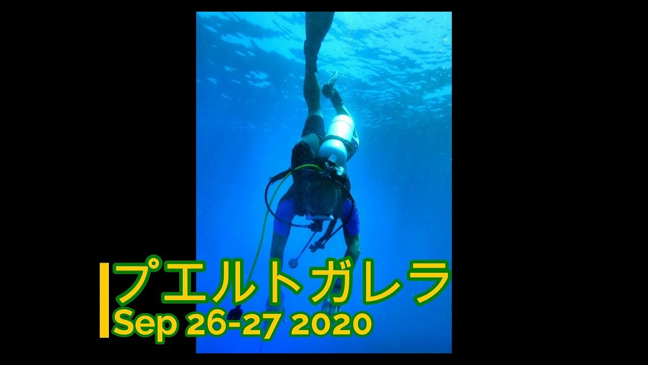 フィリピン・プエルトガレラにダイビングツアー