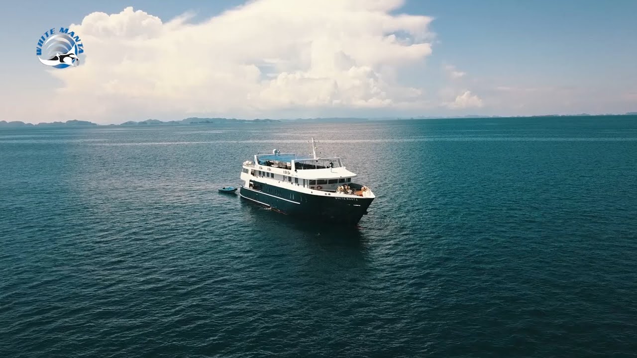 White Manta Cruising - Liveaboard Indonesia