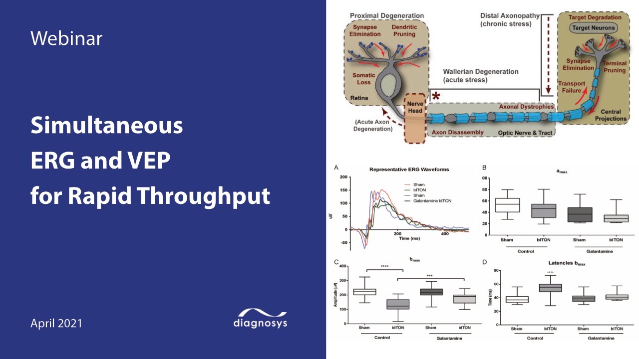 Celeris: Simultaneous ERG and VEP for Rapid Throughput in Rodents
