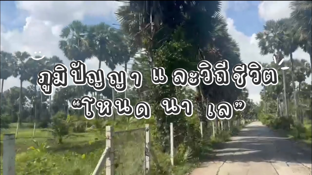 ภูมิปัญญาและวิถีชีวิตแบบ “โหนด นา เลย” || คาบสมุทรสทิงพระ จังหวัดสงขลา