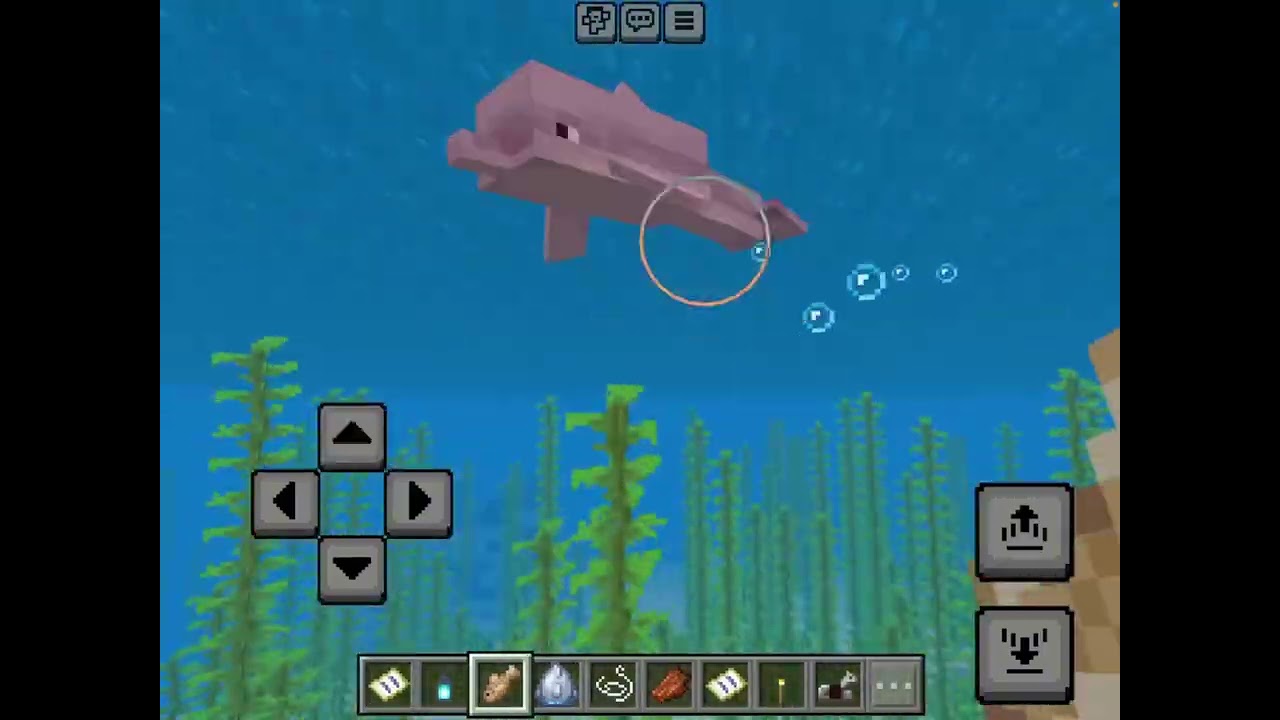 How to find: SHIPWRECKS ***in Minecraft!!!