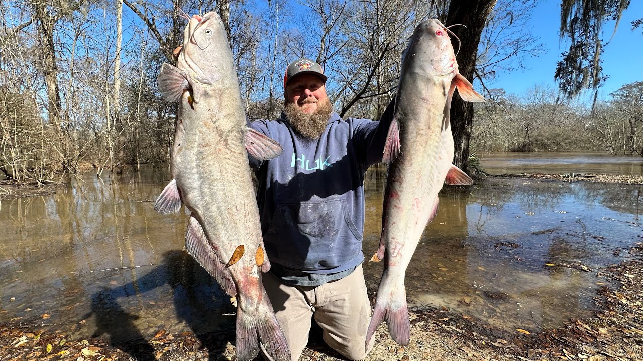 We filled a cooler with HUGE CATFISH! ~Catch, Clean, Cook~