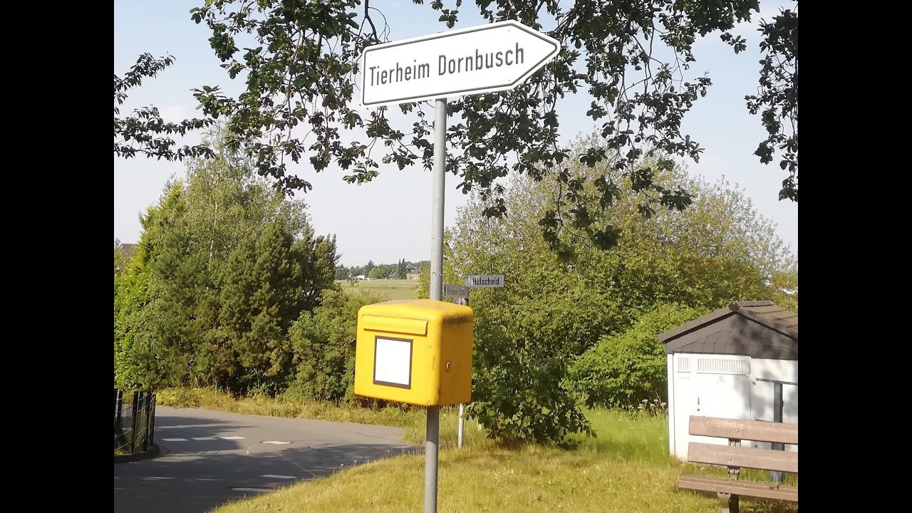 Tierheim Dornbusch - Hinter den Kulissen