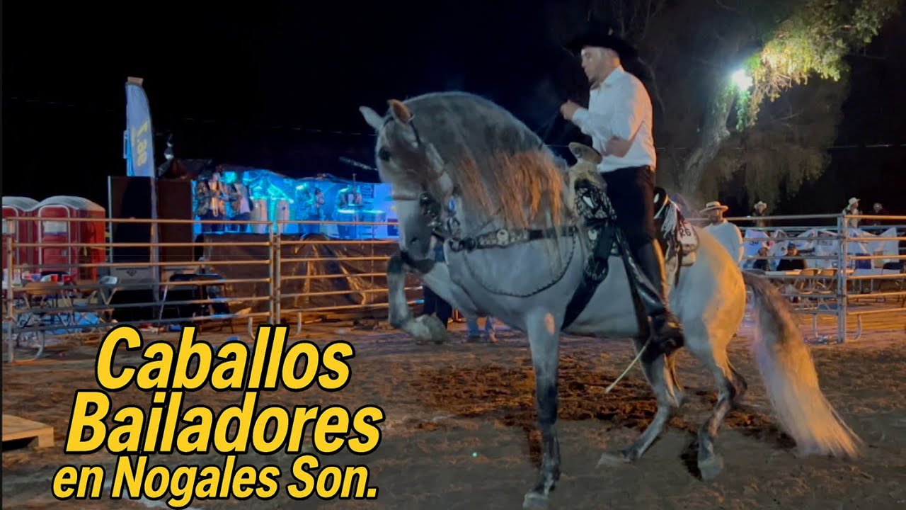 ⭐️Caballos bailadores en Nogales Sonora!
