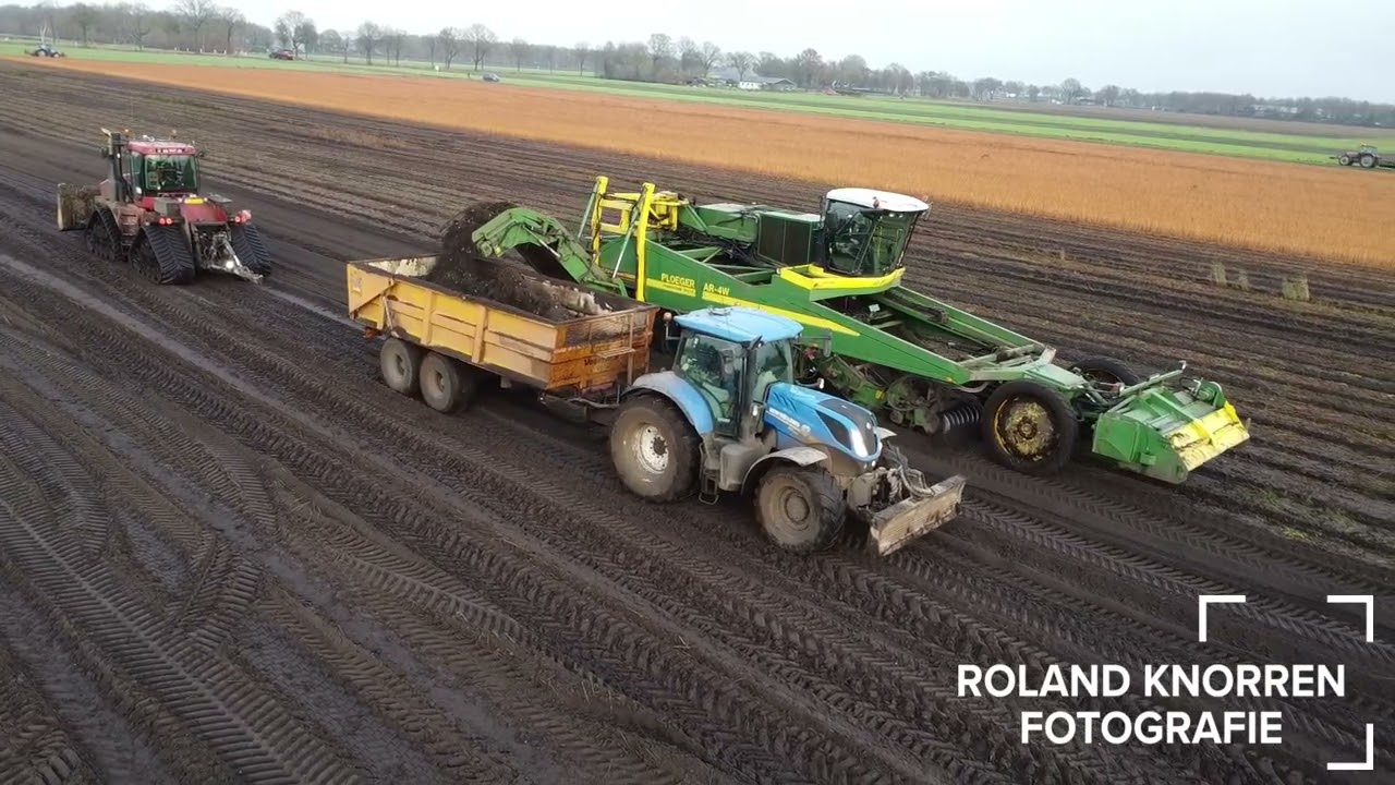 Joling BV lelies 2025 | New Holland | Ploeger| Case