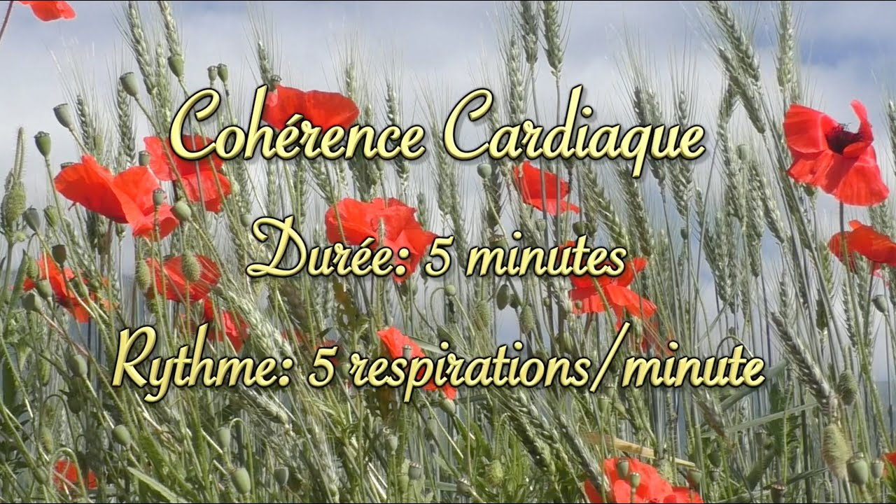 Cohérence cardiaque (cardiac coherence) - coquelicots dans les blés - 5 respirations/minute