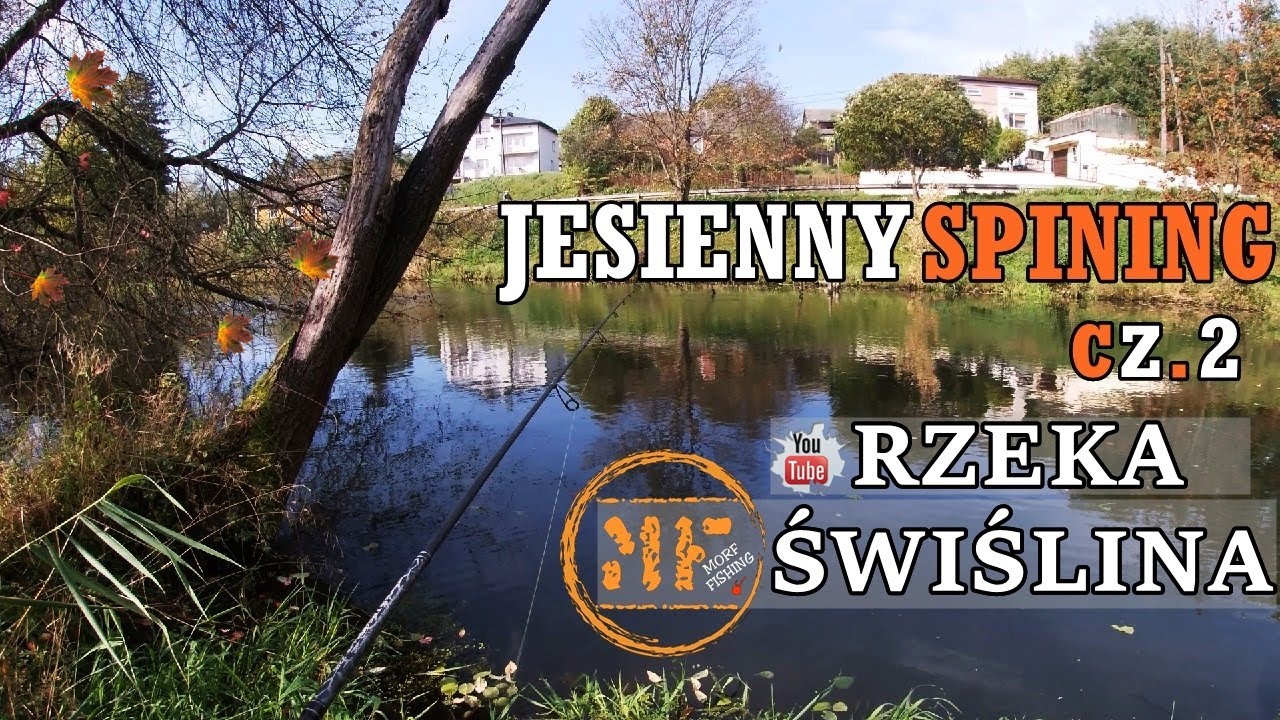 JESIENNY SPINING cz. 2 - drapieżniki z Rzeki Świślina