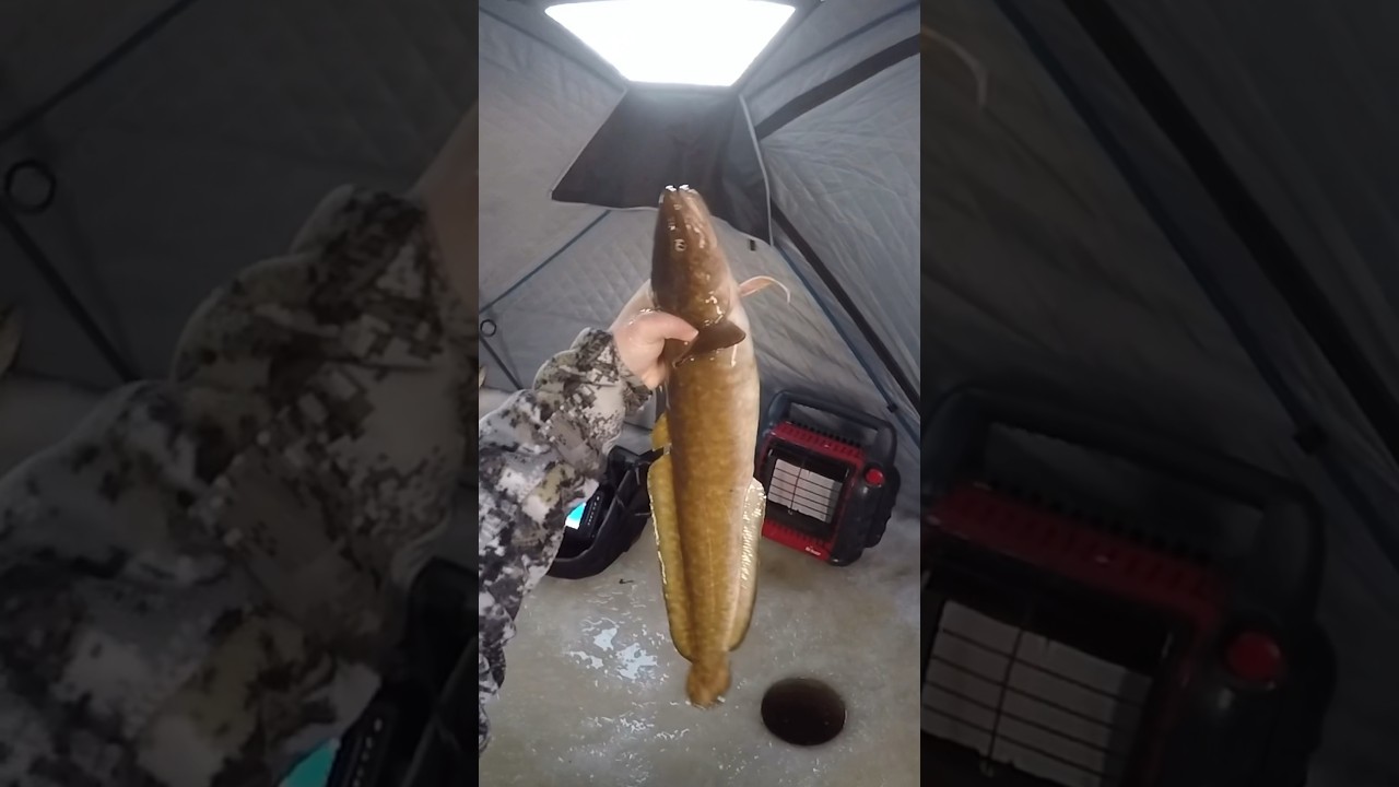 WHAT DID I CATCH!?! 