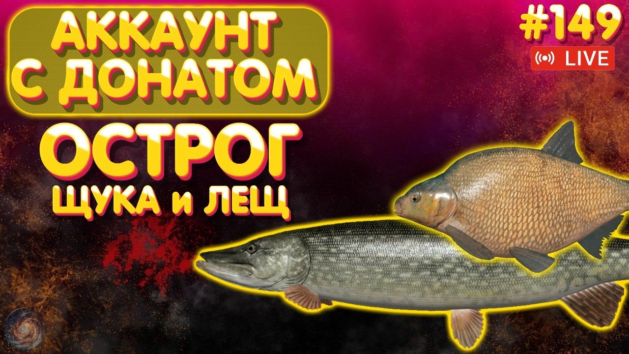 Щука и Лещ - Острог 🔥 Аккаунт с донатом #149 стрим 🔥 ПРЕМ и ЗОЛОТО в боксе Trovo 🔥 Русская Рыбалка 4