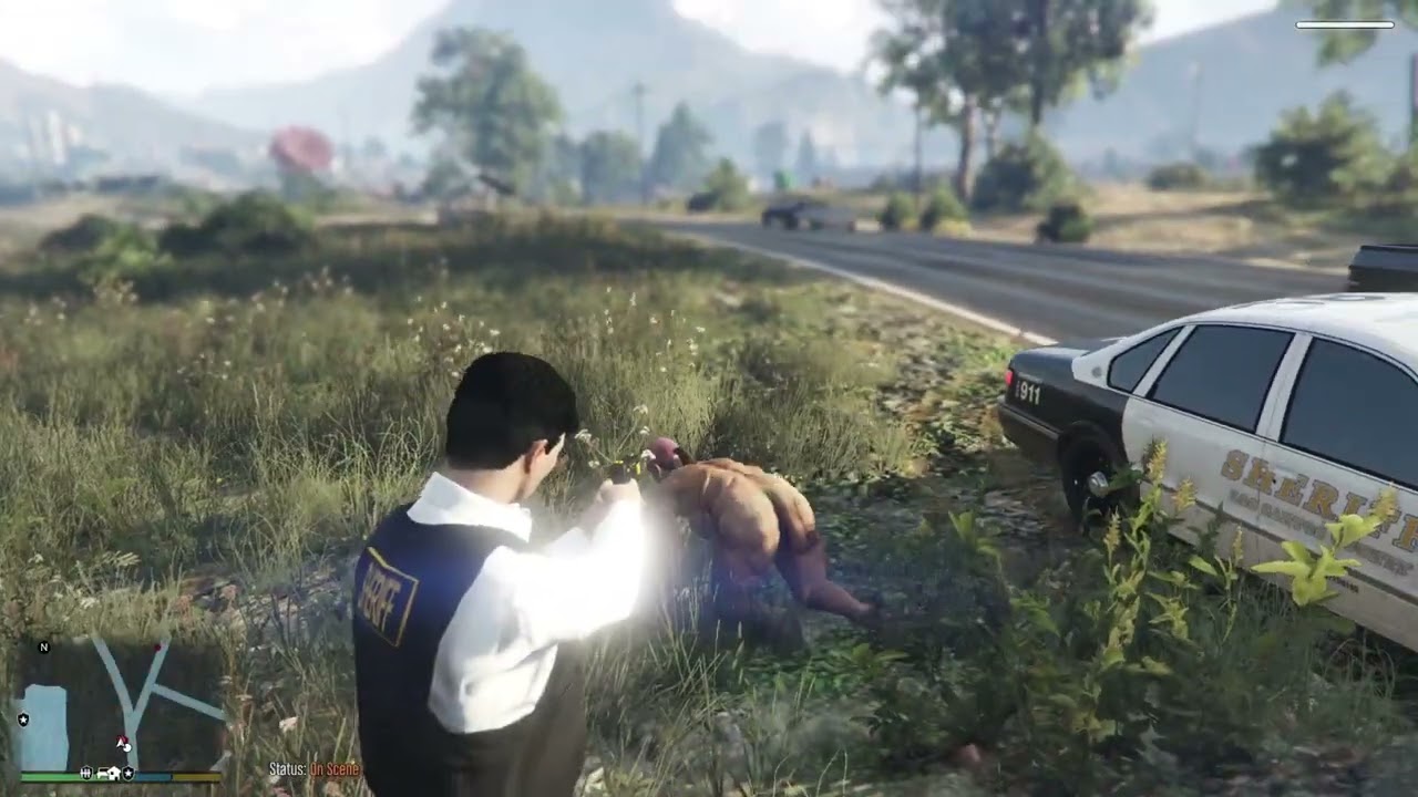 Wild Day in Blaine County!!  LSPDFR