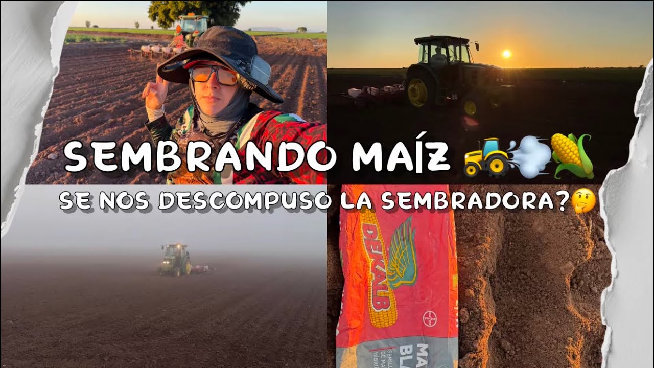 ASI SE SEMBRÓ LAS ULTIMAS 20 HECTÁREAS DE MAÍZ 🚜💨🌱🌽 |Juandiego Cardenas.|
