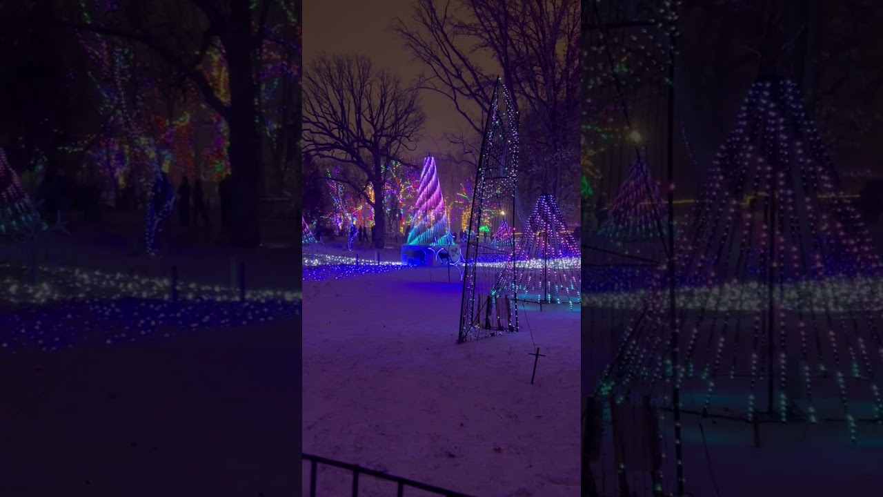 The Christmas Light Show