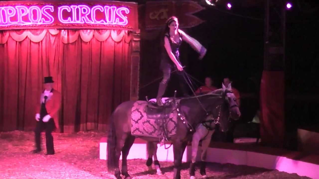 Nicky de Neumann Zippos 2013