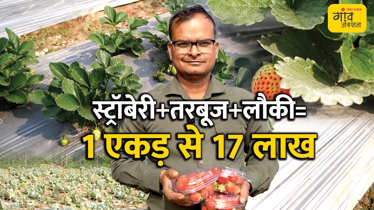 एक एकड़ में 17 लाख की कमाई, कैसे? | Gaon Junction LIVE