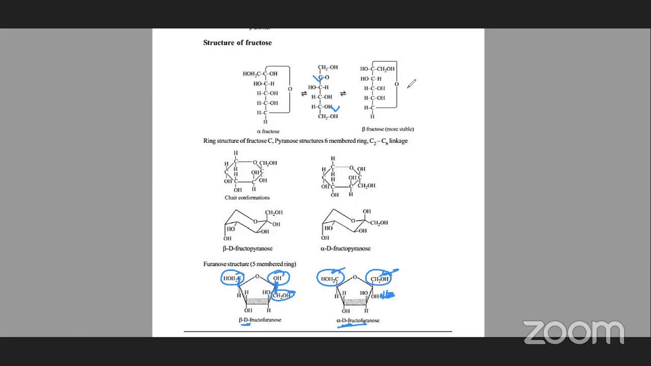 JEE : BIOMOLECULES