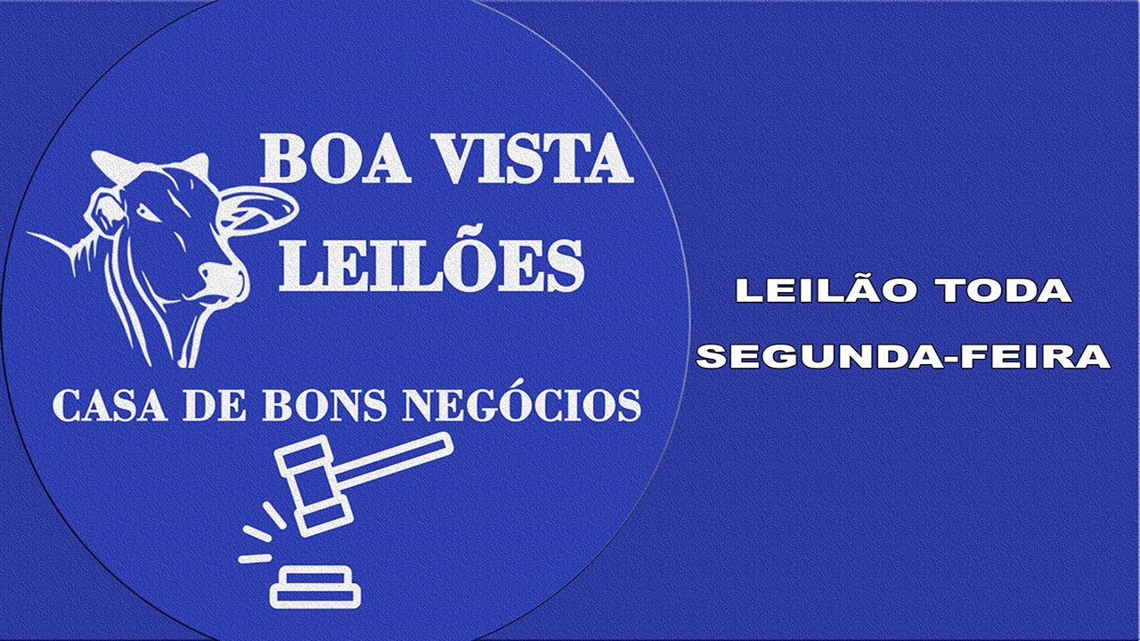 Boa Vista Leilões São Luis de Montes Belos - GO 26/01/2026