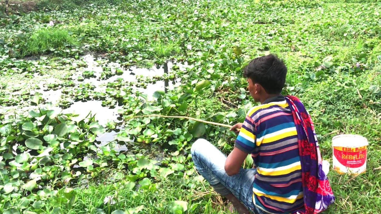 Best Fishing Video - Traditional Hook  Fishing - Village Daily Life (Part-272)
