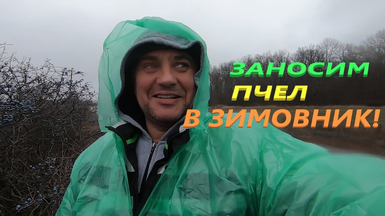 Когда ЗАНОСИМ ПЧЁЛ В ЗИМОВНИК! Обзор помещения с ульями! Немного о планах, подготовил точек к весне!