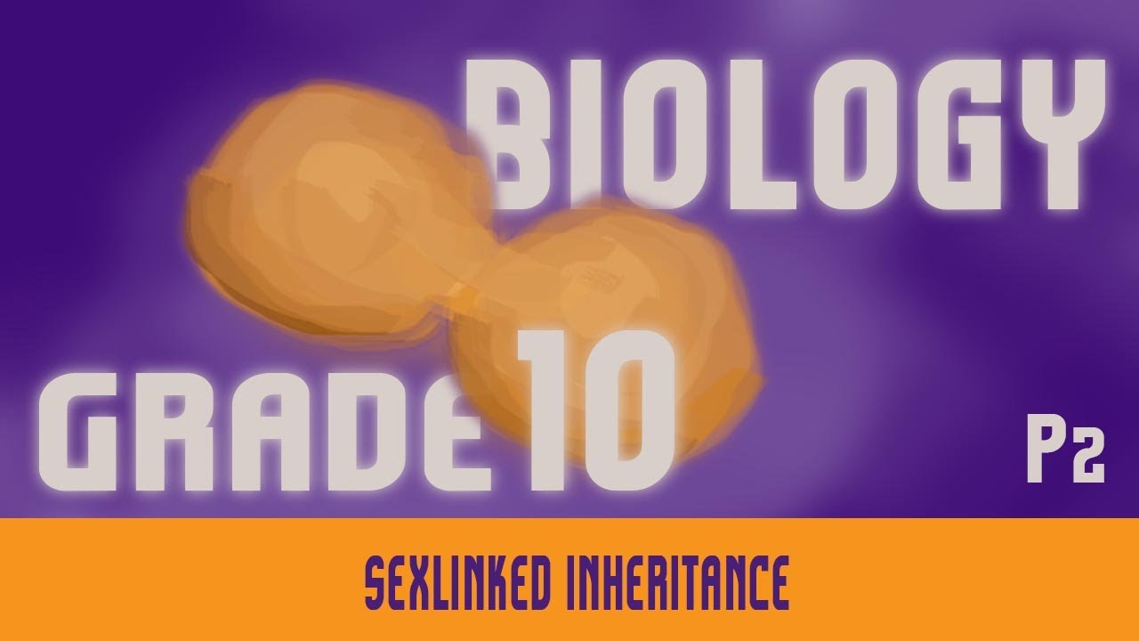 Genetics | Sex- Linked Inheritance & Its Types | Overview | Chromosomal Differences | Part 8