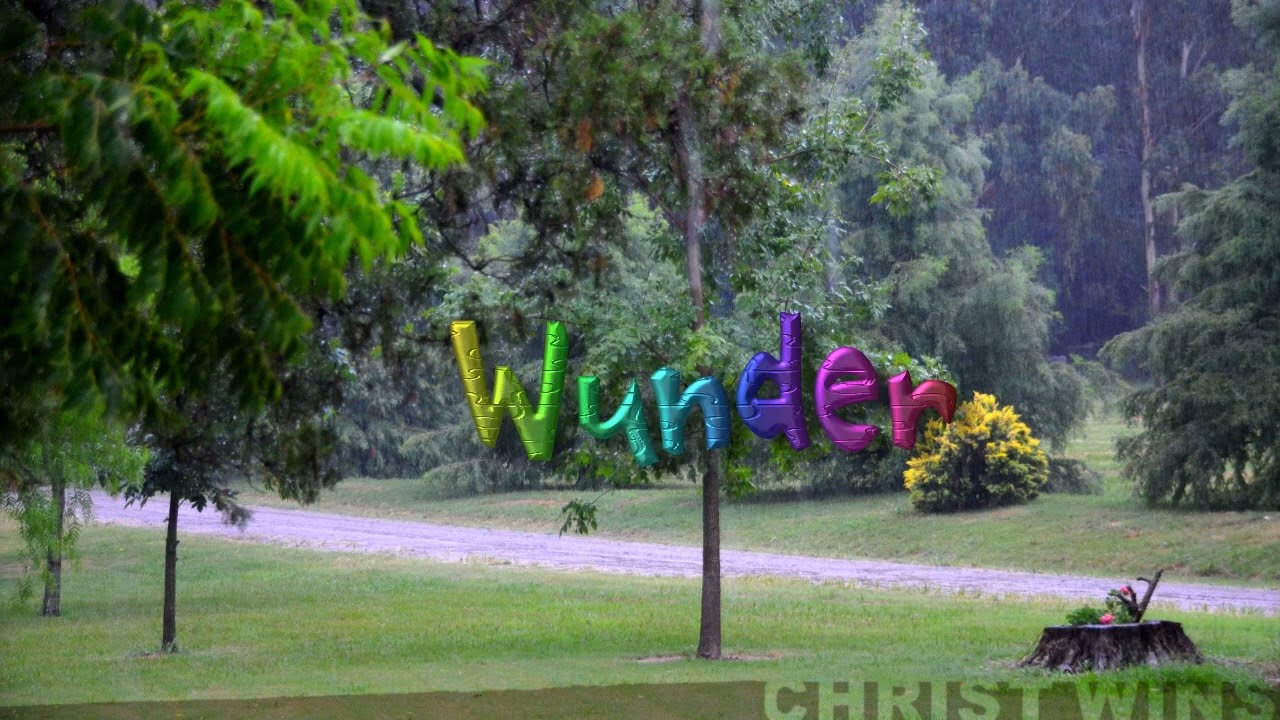 Dass dein Wort in meinem Herzen - cover by ChriWi 1wb - Rock Techno Schlager Version - Text, lyrics