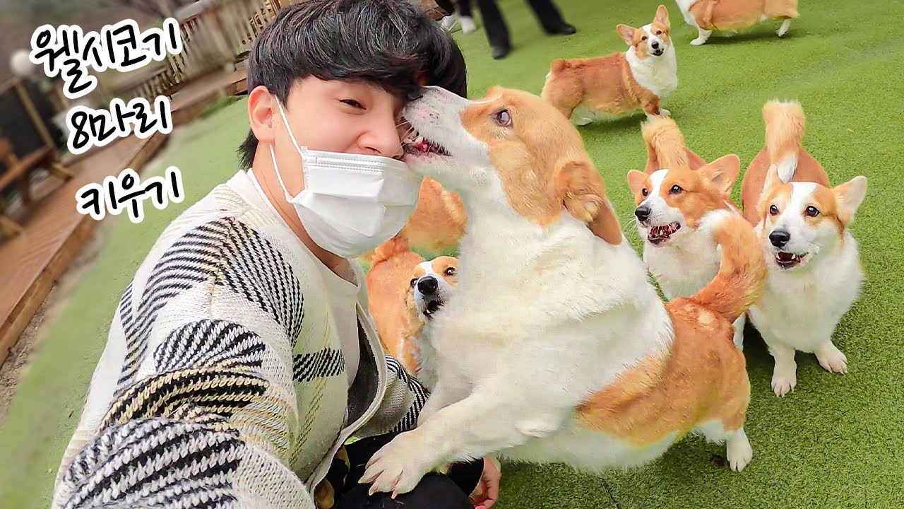 아 진짜 개판이네 ;;