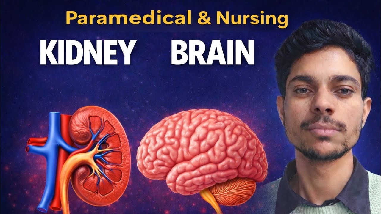 Structure OF kidney and Brain @anatomyworld86 