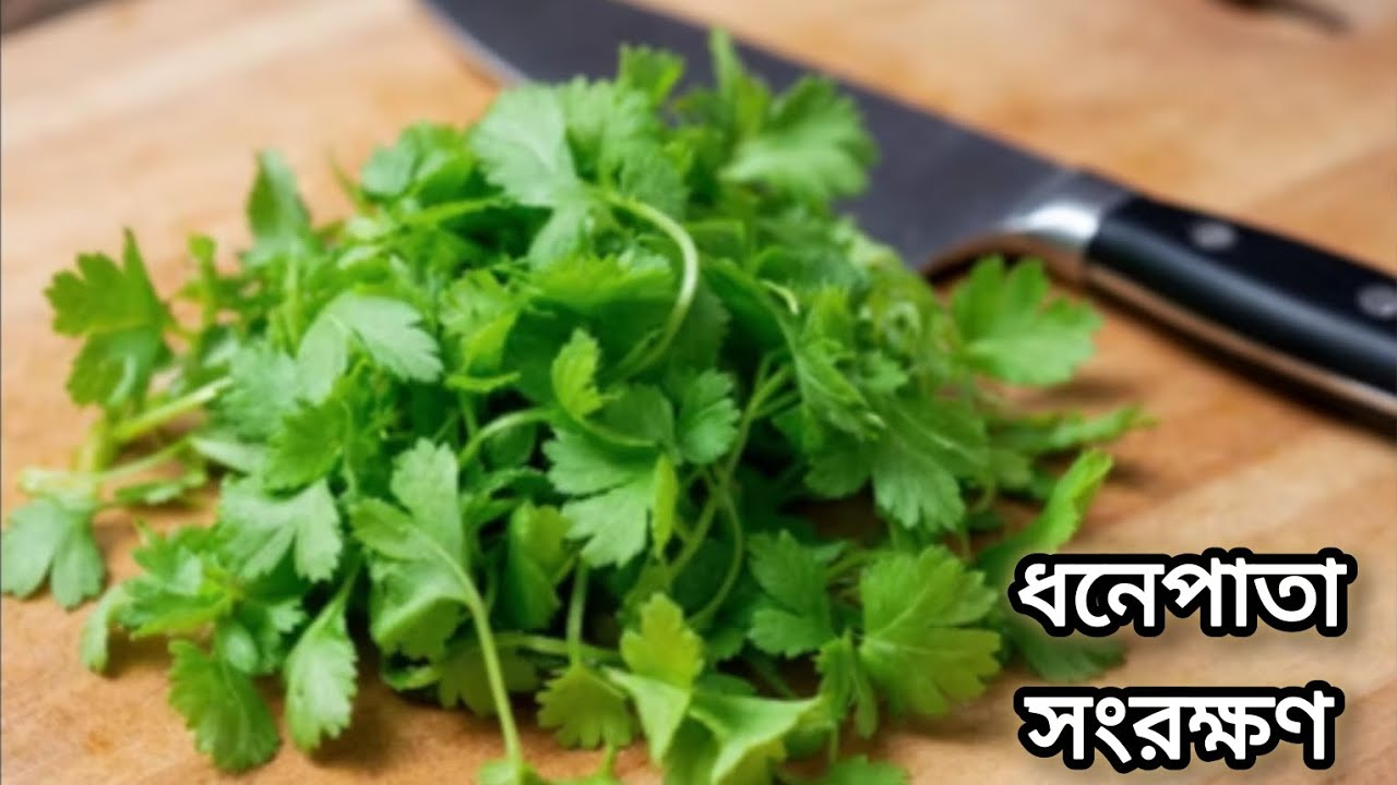 ধনেপাতা সংরক্ষণের সহজ উপায় | How to Store Coriander Leaves for Long Time | Dhonepata Preservation 