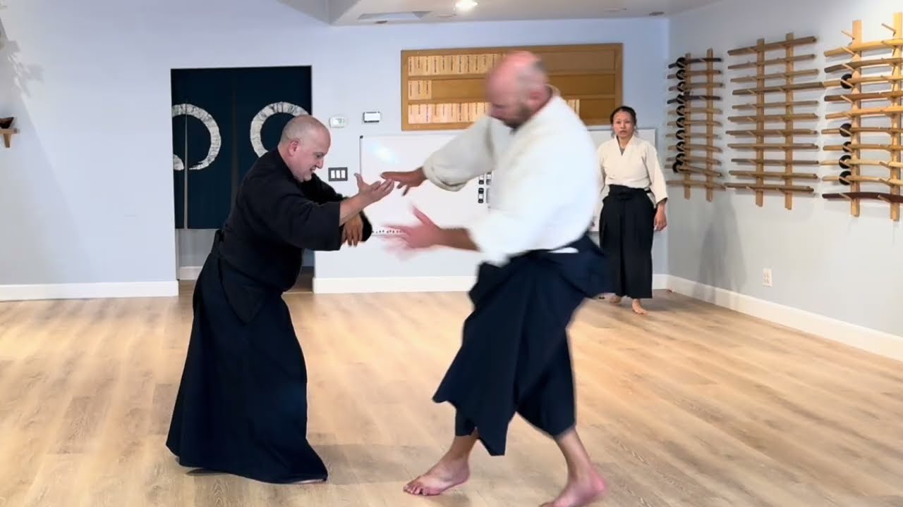 Aikido: Instructor Highlights - Aiki (Adhesion) & Kokyu (Projection) Drilling