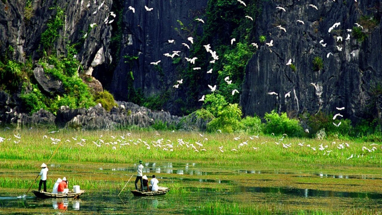 Khám phá Thung Nham | Xứ sở của các loài chim | Bird Park | Ninh Binh #thungnham #birdpark #ninhbình
