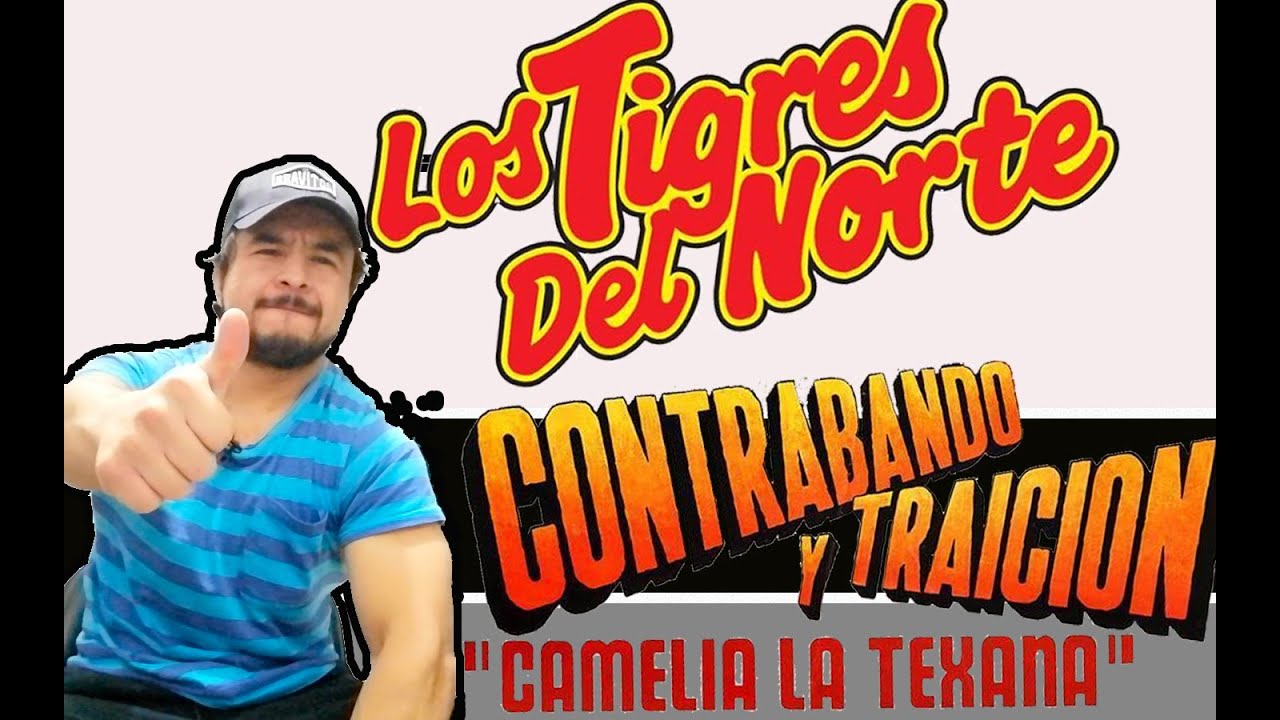 Como tocar || Contrabando y Traicion || Los Tigres del Norte || Análisis