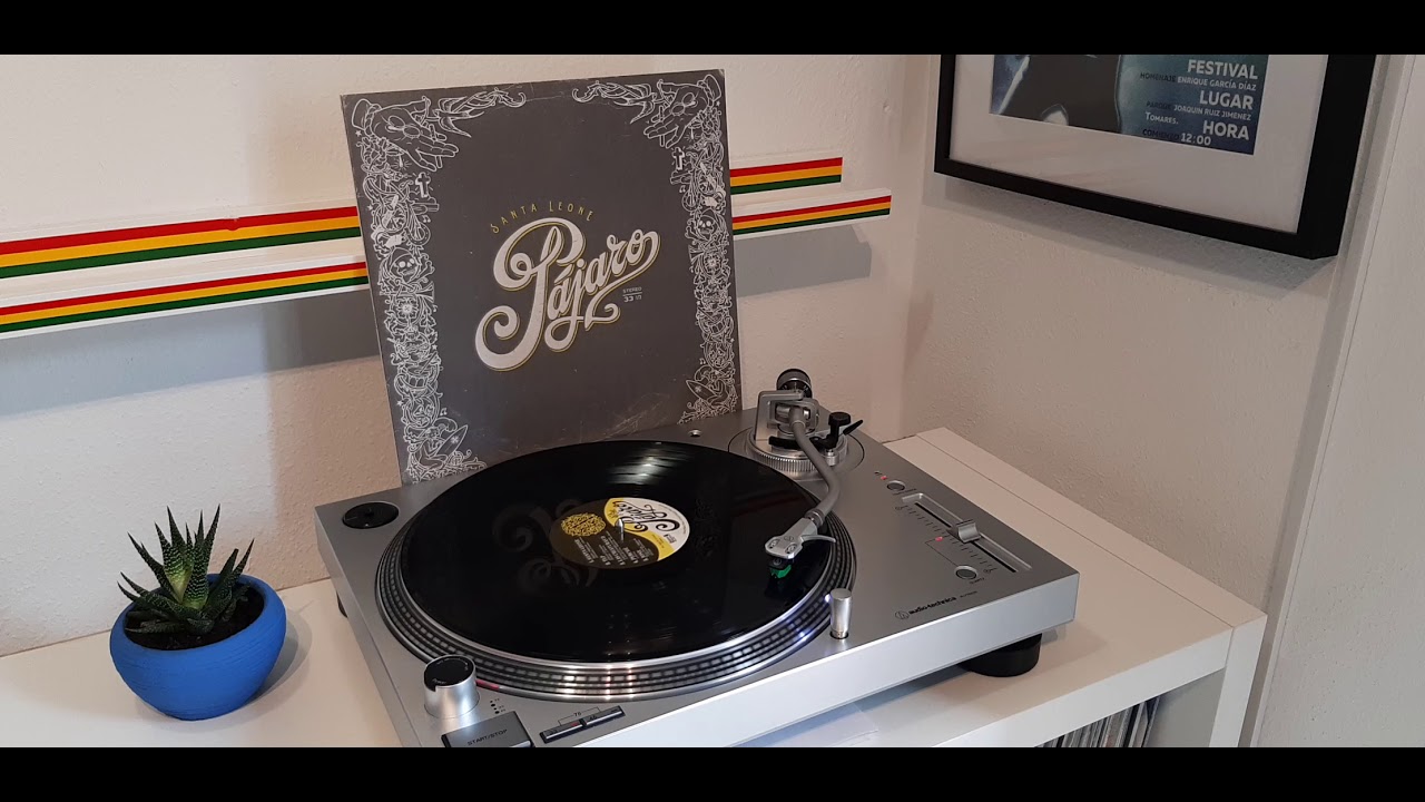 Pájaro ☆ TLP   Vinyl HQ Sound