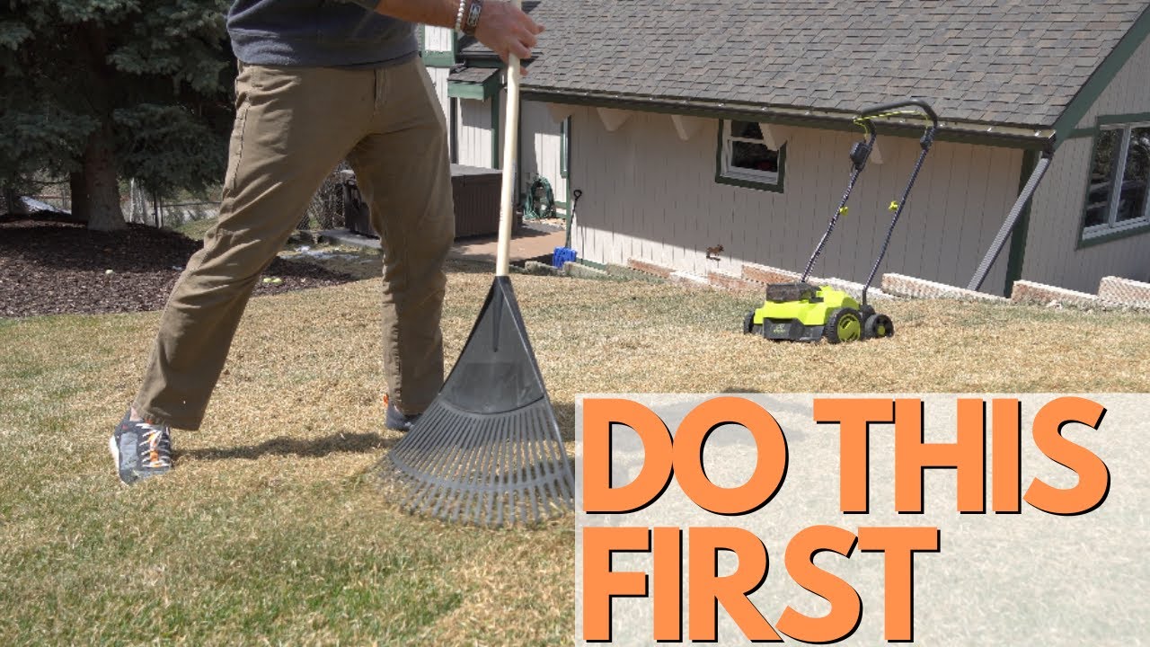 Don't SKIP THIS STEP! How To HAVE THE HEALTHIEST LAWN FAST