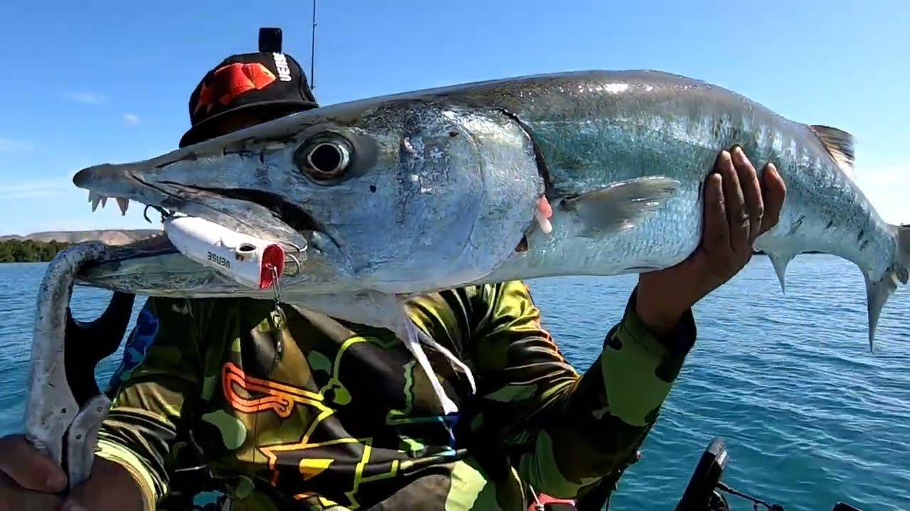 El mejor señuelo para pescar barracuda