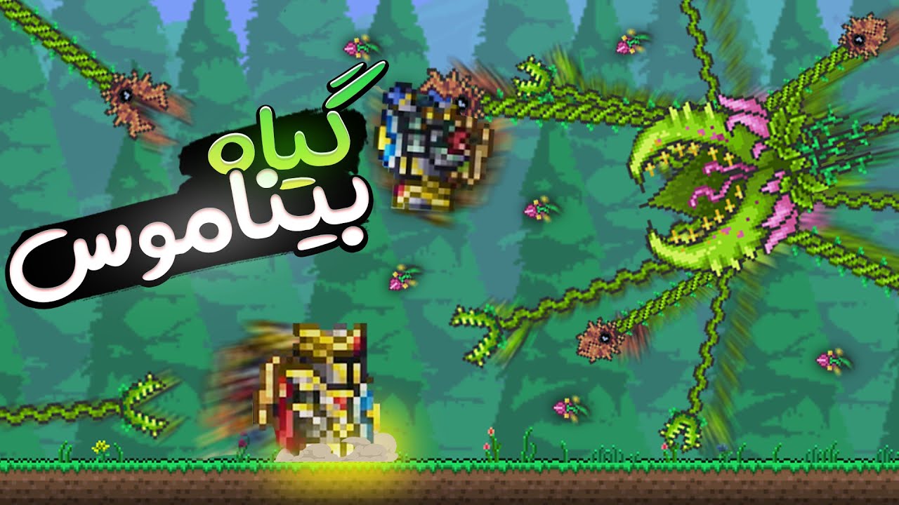 تراریا رفتیم جنگل گیاهارو مالیدیم😂|| Terraria part 11