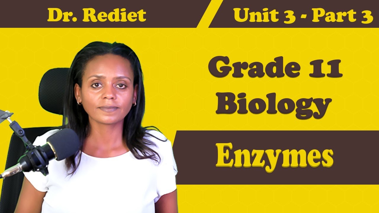 Grade 11 Biology Unit 3 Enzyme  Part 3| Dr. Rediet