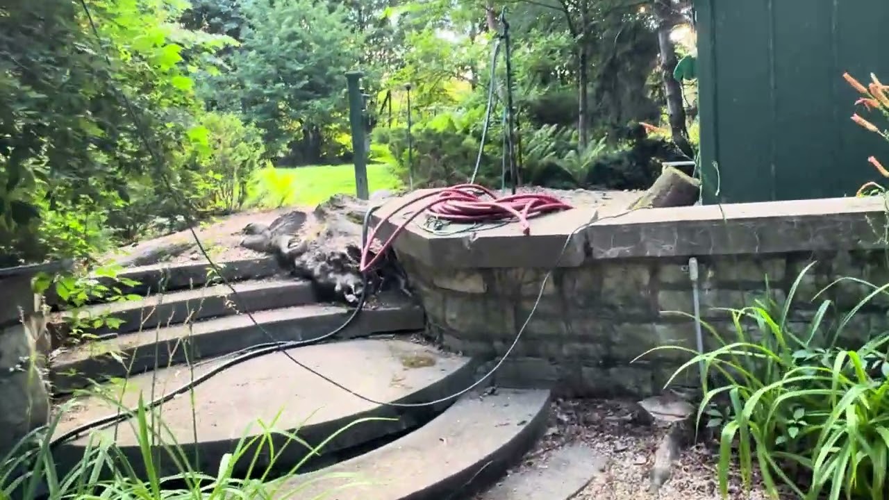 Epic landscaping overhaul - three years in making