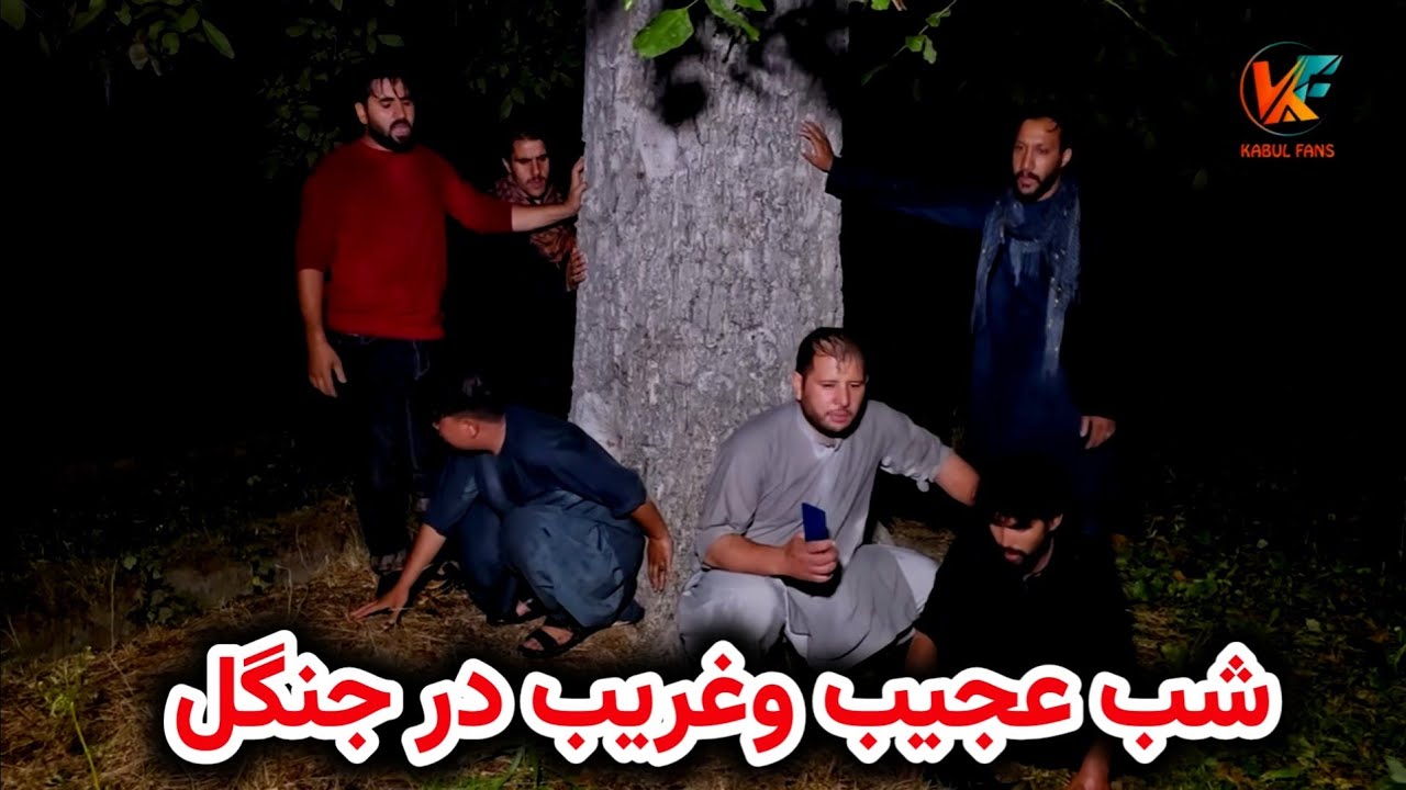 شب بارانی و عجیب و‌غریب را در جنگل سپری کردیم
