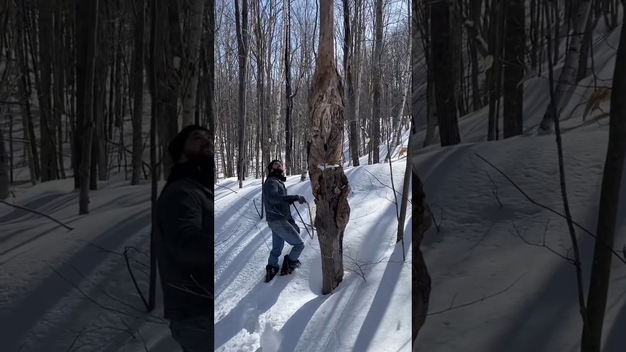 Transforming a Dead Tree to $16,500 Masterpiece: Epic Furniture Making & Metalworking Process #art