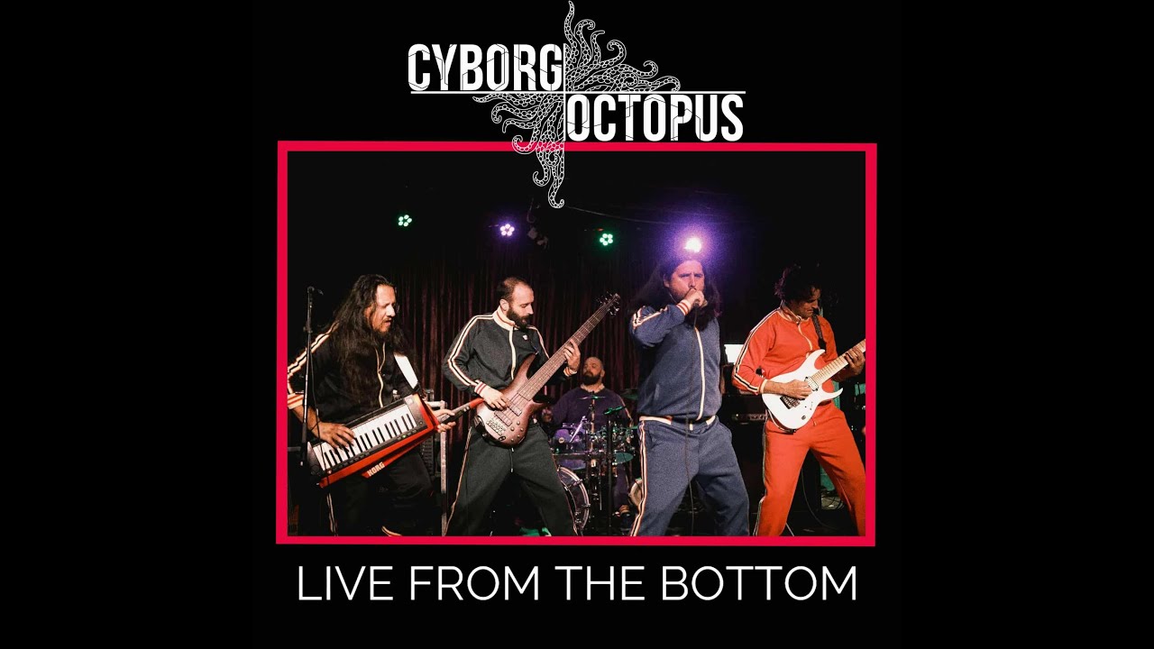 Cyborg Octopus - Live from the Bottom