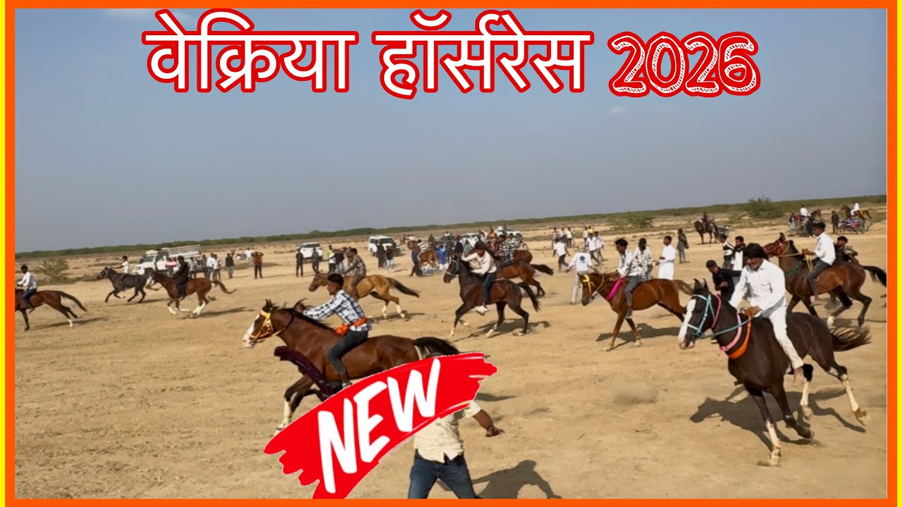 वेक्रिया हॉर्सरेस में | नामचीन godo ki race 2026 |3400 horse 🆚3333 ki kate ki takkr#royalhorserace47