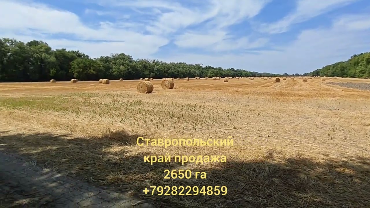 Продаю земли сельхоз.назначения и предприятия: Ставрополь, Краснодар, Ростов-на-Дону. т.+79282294859