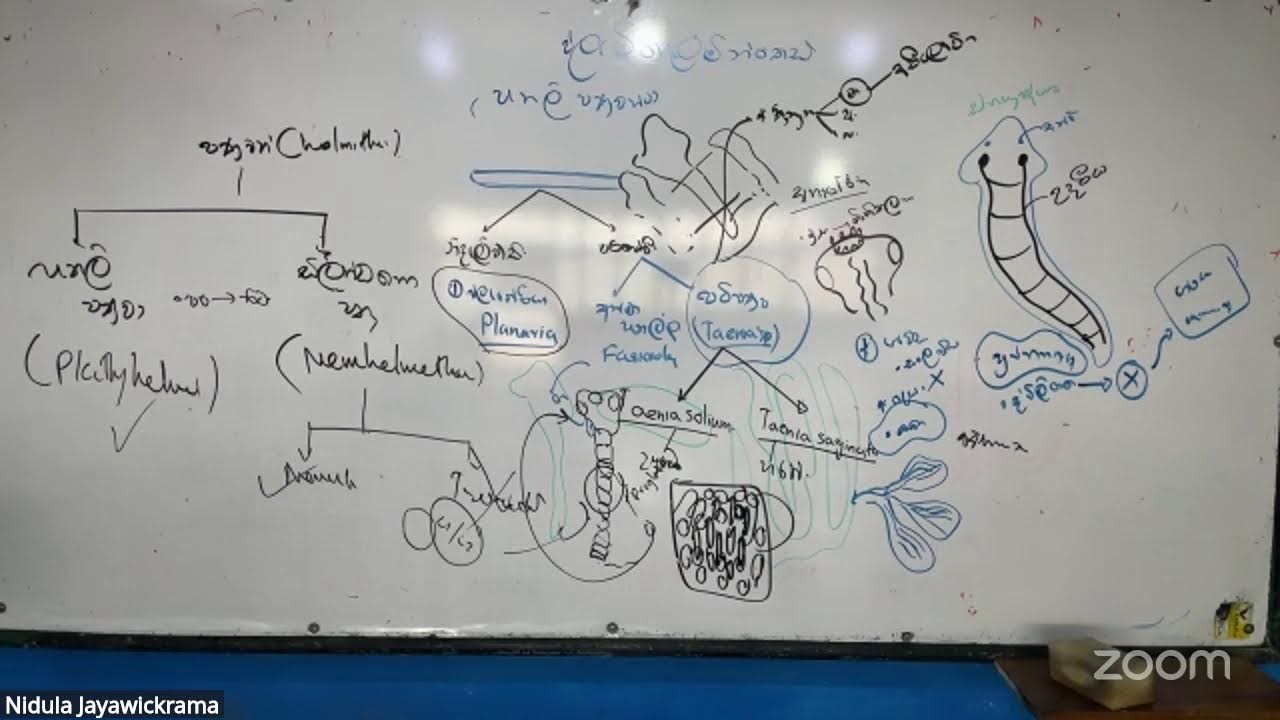 Nidula Jayawickrama's Zoom Meeting