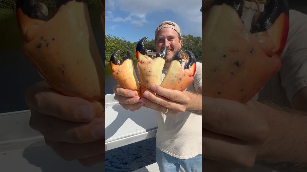 Stone Crab Claws! @KillerDock