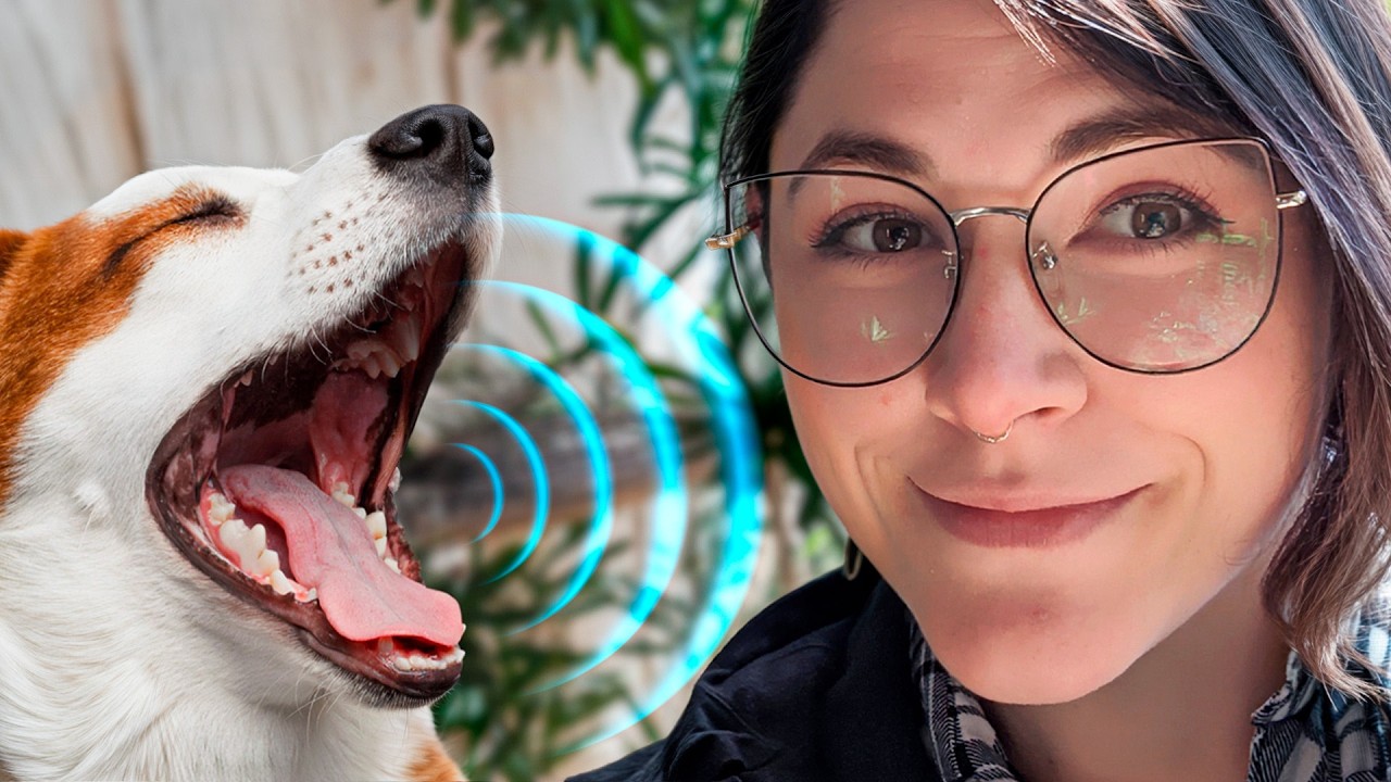 We&rsquo;re Closer Than Ever to Talking to Animals