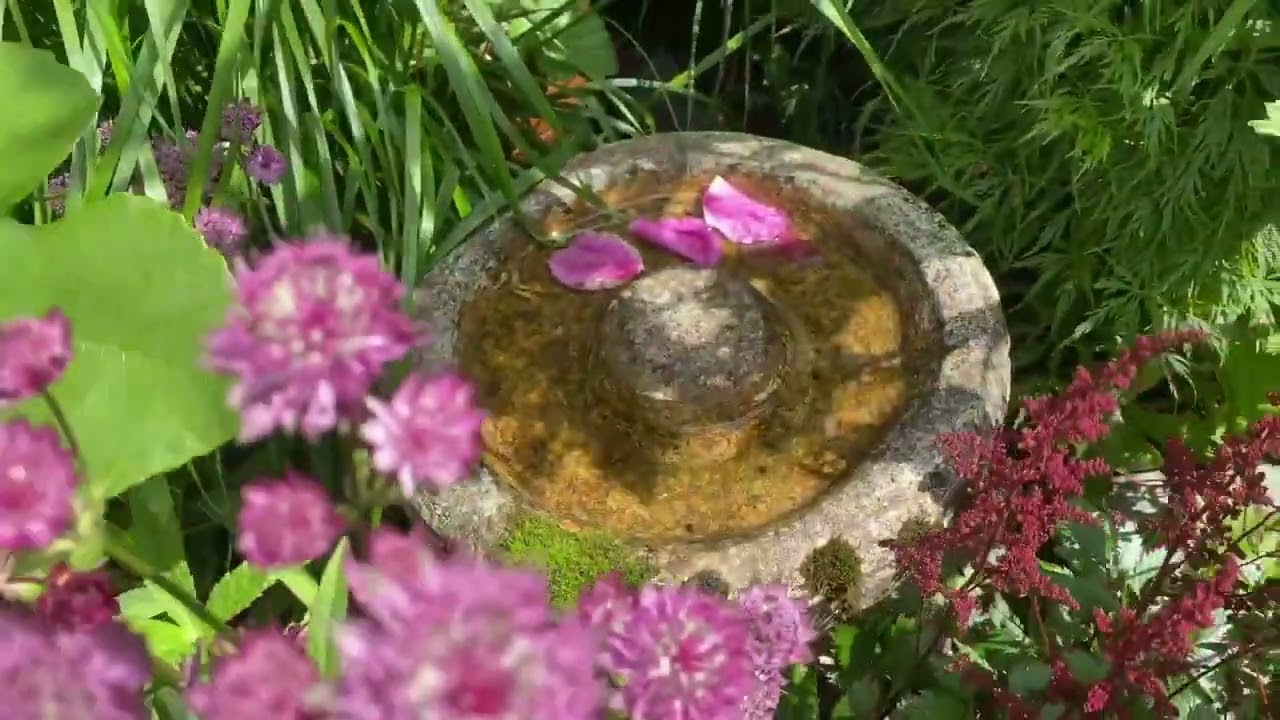 Let's tour around to our garden with water feature