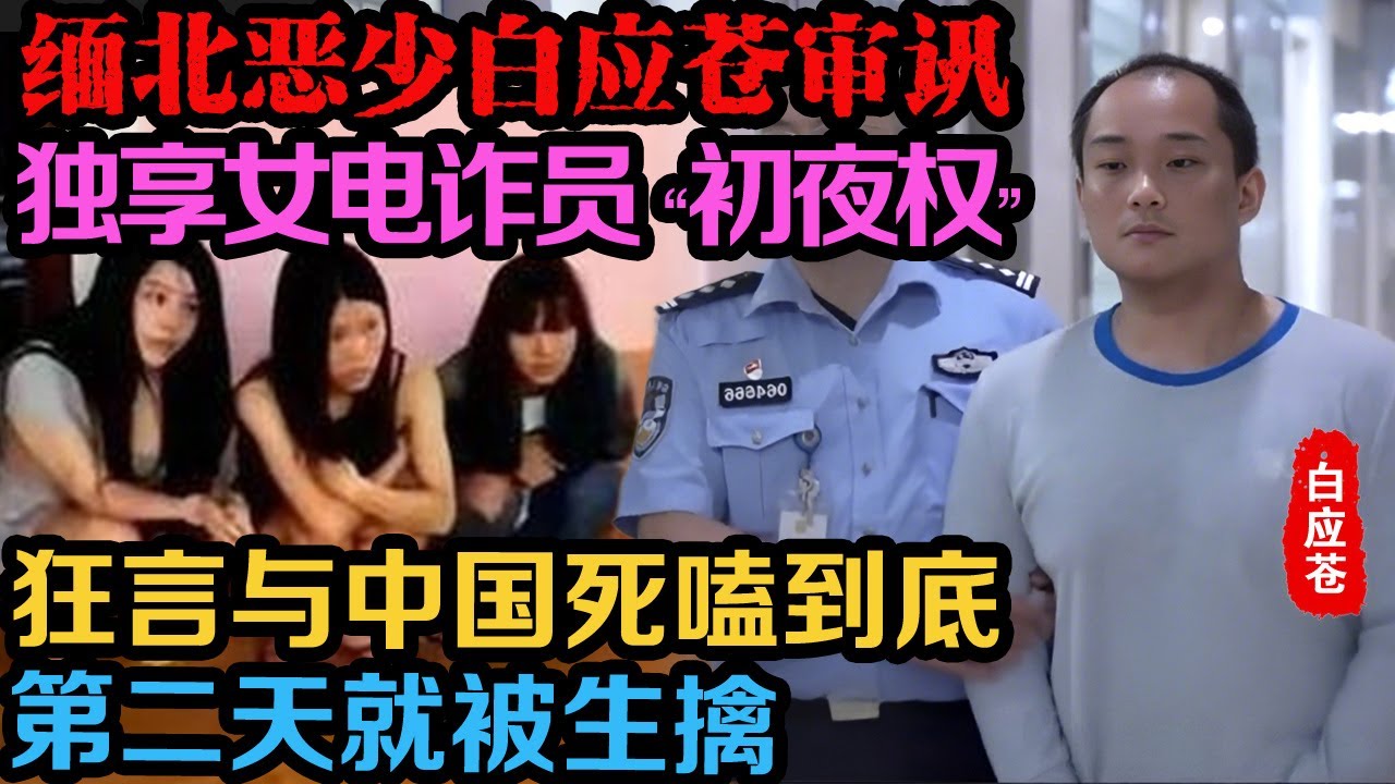 | 真实事件 | 缅北电诈白应苍最新审讯：“ 白家在政、军两界属于最大的，各政府部门有什么事都要请示白家。”真实案件 | 案件解说
